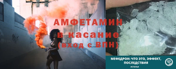 шишки Абаза