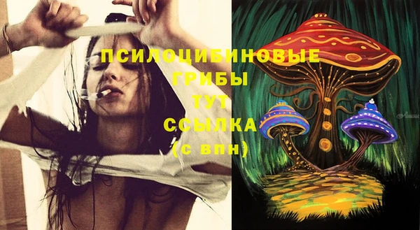 ешки Абинск