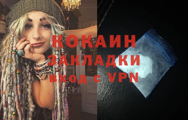 шишки Абаза