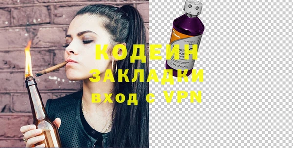 шишки Абаза