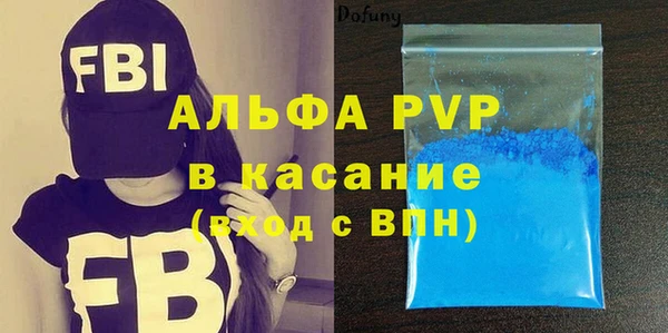 шишки Абаза