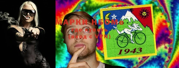шишки Абаза