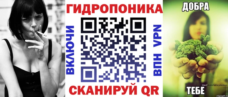 как найти закладки  МЕГА ссылка  Канабис сатива  Сусуман 